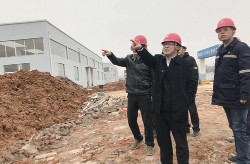 王大真到新材料公司、TPO項(xiàng)目現(xiàn)場(chǎng)和股份公司檢查工作(圖2)