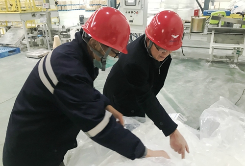 王大真到新材料公司、TPO項目現(xiàn)場和股份公司檢查工作
